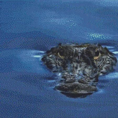 everythingcrossstitch-792051