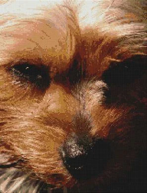 everythingcrossstitch-793616