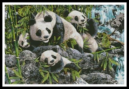 everythingcrossstitch-794681