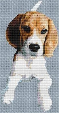 everythingcrossstitch-796095
