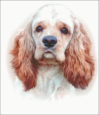 everythingcrossstitch-796944