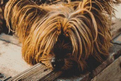 everythingcrossstitch-797957