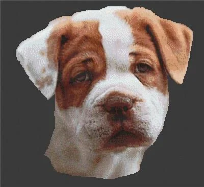 everythingcrossstitch-803939