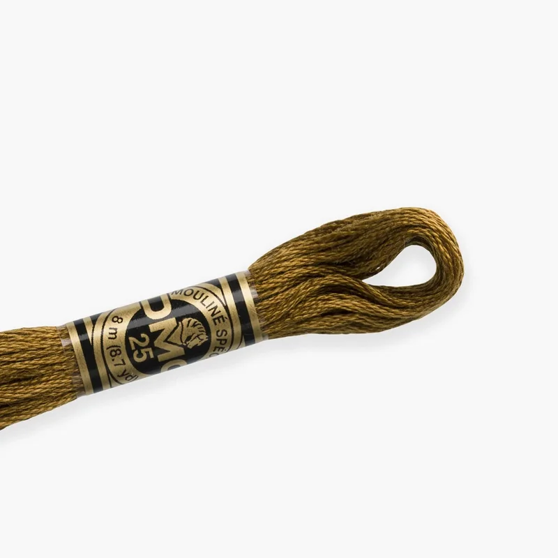 luca-s534635