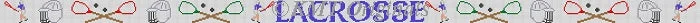 posneedlepoint356281