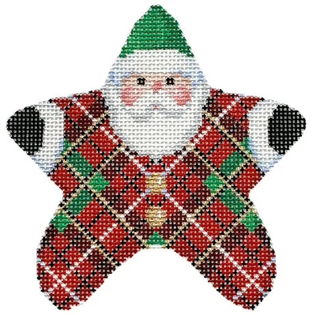 posneedlepoint542009