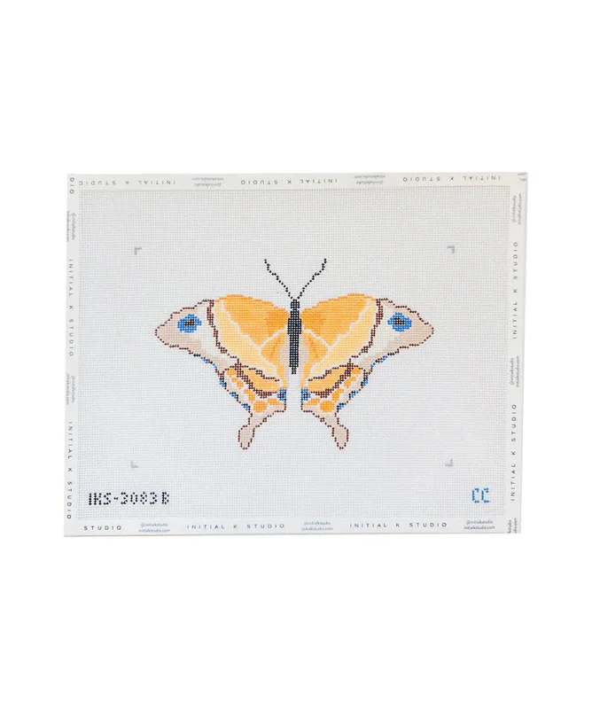 posneedlepoint568762