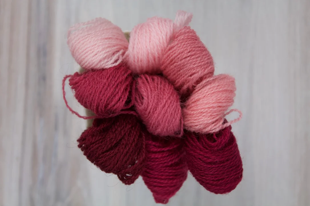 thebluepeony482250