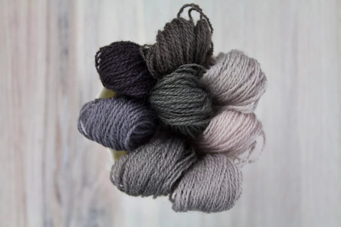thebluepeony482393