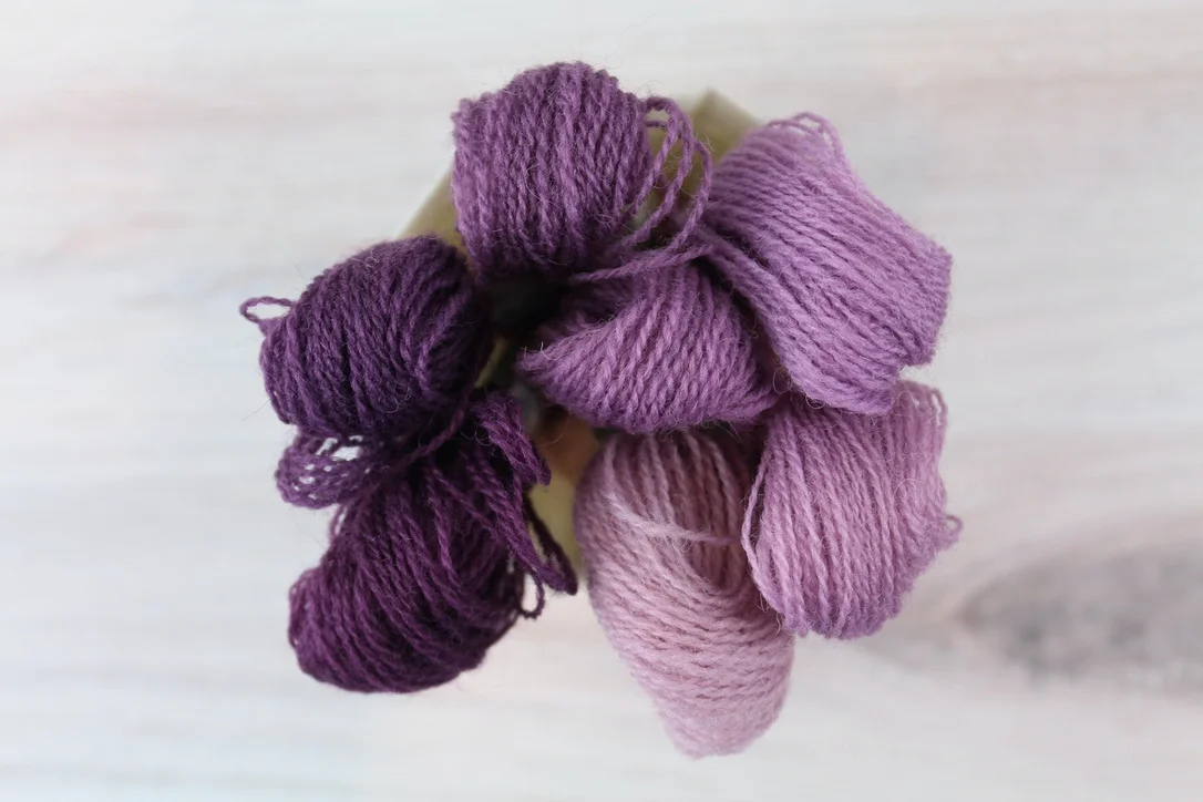 thebluepeony505979