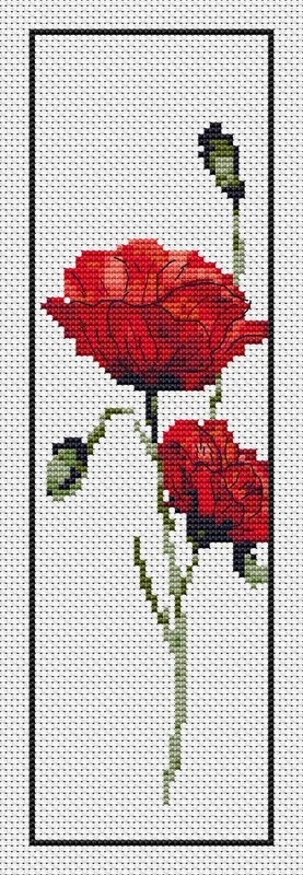 wizardi11326561