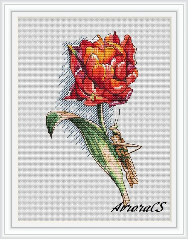 wizardi1831599