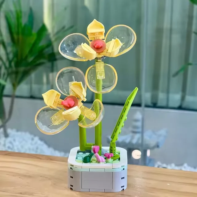 wizardi2704727