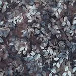 yoderdepartmentstore1515619
