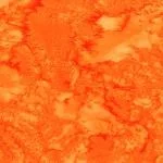 yoderdepartmentstore2490900